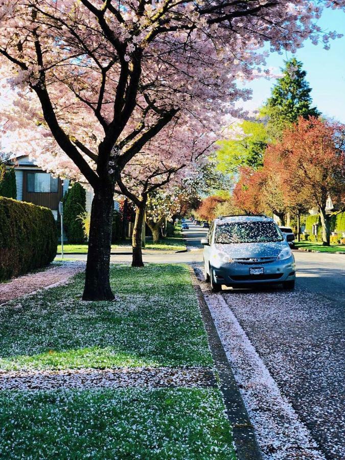 مبيت وإفطار فانكوفر The Sunshine House-Free Parking المظهر الخارجي الصورة